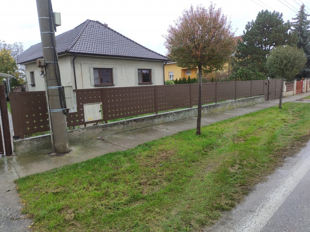 Dvojkrídlová brána s bráničkou a oplotením
